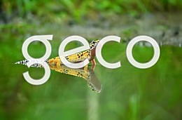 Средства защиты от неблагоприятных факторов внешней среды.
